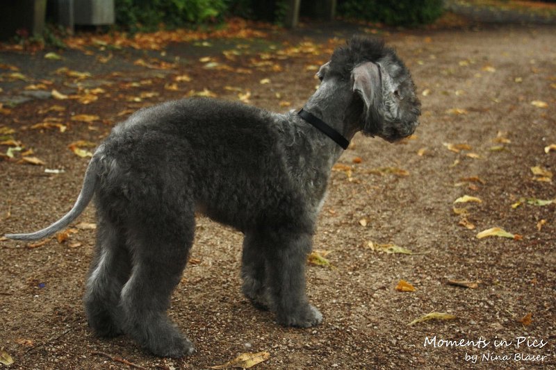 Antares 2009-08-01 & 02 (51).JPG